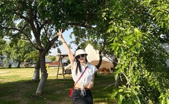 男生越往里越有劲视频动漫